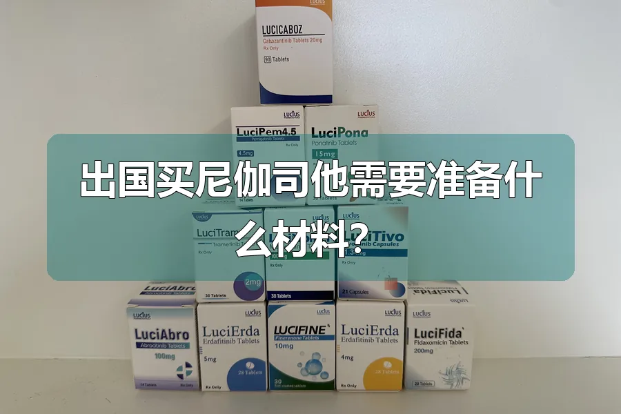 出国买尼伽司他需要准备什么材料？